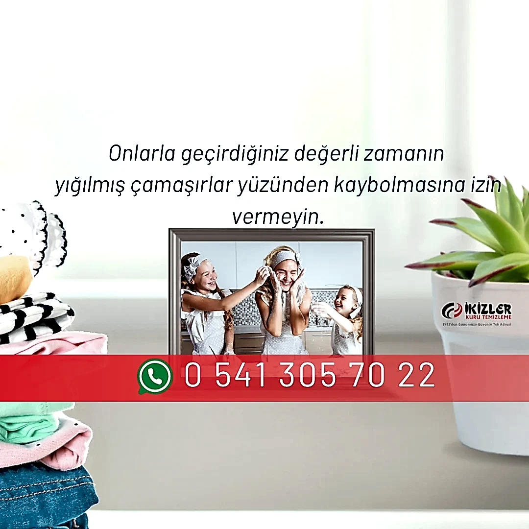 Ankara Leke Çıkarma